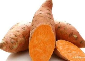 Dijamin Gak akan Salah Beli, Inilah 5 Cara Mudah Memilih Ubi Berkualitas